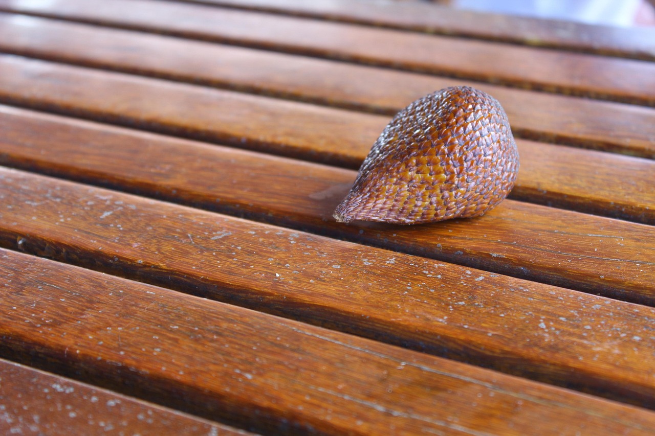 d&eacute;couvrez comment s&eacute;lectionner le cms id&eacute;al pour votre site web. comparaison, conseils et crit&egrave;res pour choisir la solution adapt&eacute;e &agrave; vos besoins.